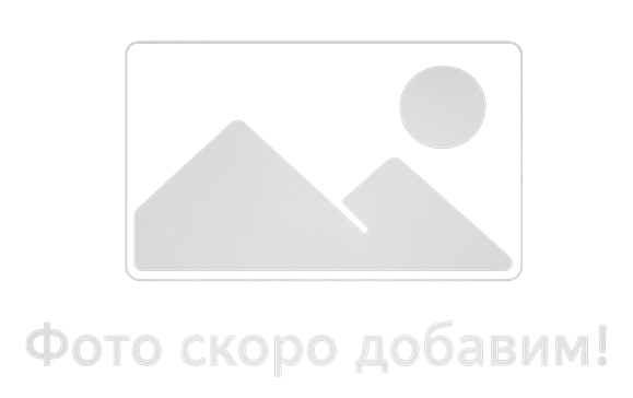 Цукаты манго